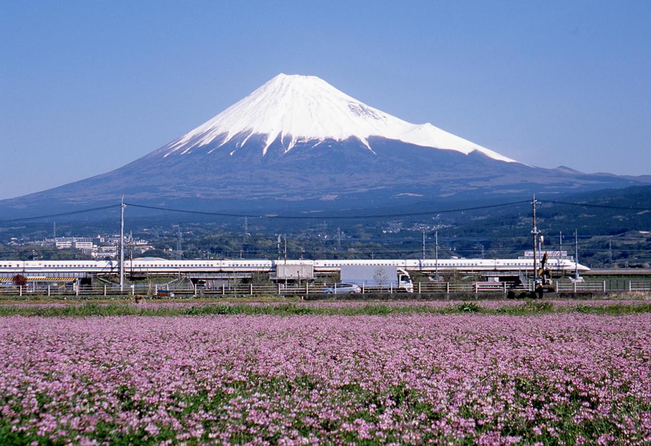 Business Hotel Sunpu Shizuoka Exteriör bild